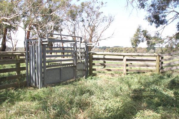 92 Nashs Road - approx. 40.59ha - Rural Living - Image# 4