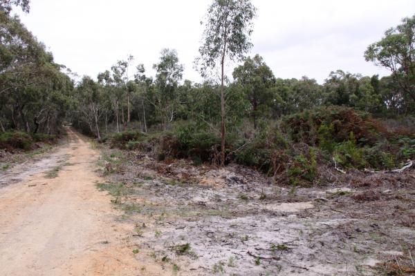 ANNYA ROAD PROPERTY - Approx 2.219ha - Image# 3