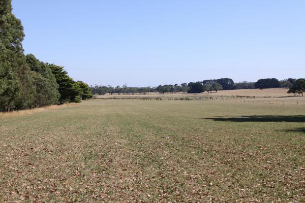 Prime Grazing Land - Approx. 16.398ha - Image# 5