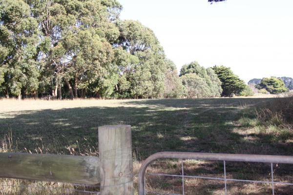 Prime Grazing Land - Approx. 16.398ha - Image# 3