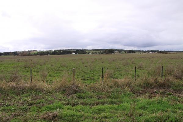 Lot 2 Owen Street Heywood Grazing Land approx. 3.3ha - Image# 1