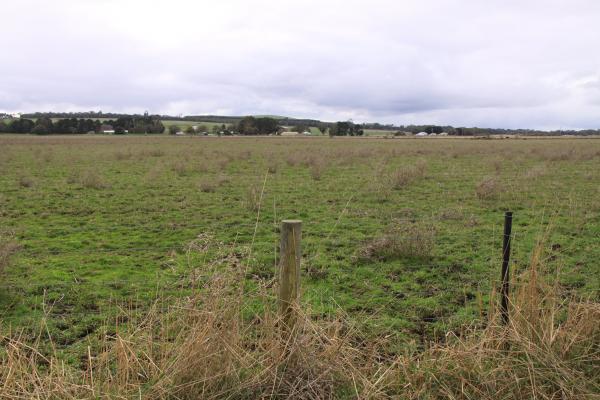 Lot 2 Owen Street Heywood Grazing Land approx. 3.3ha - Image# 3