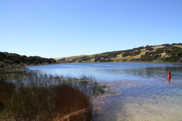 Cape Bridgewater - 40.1ha - Image# 5