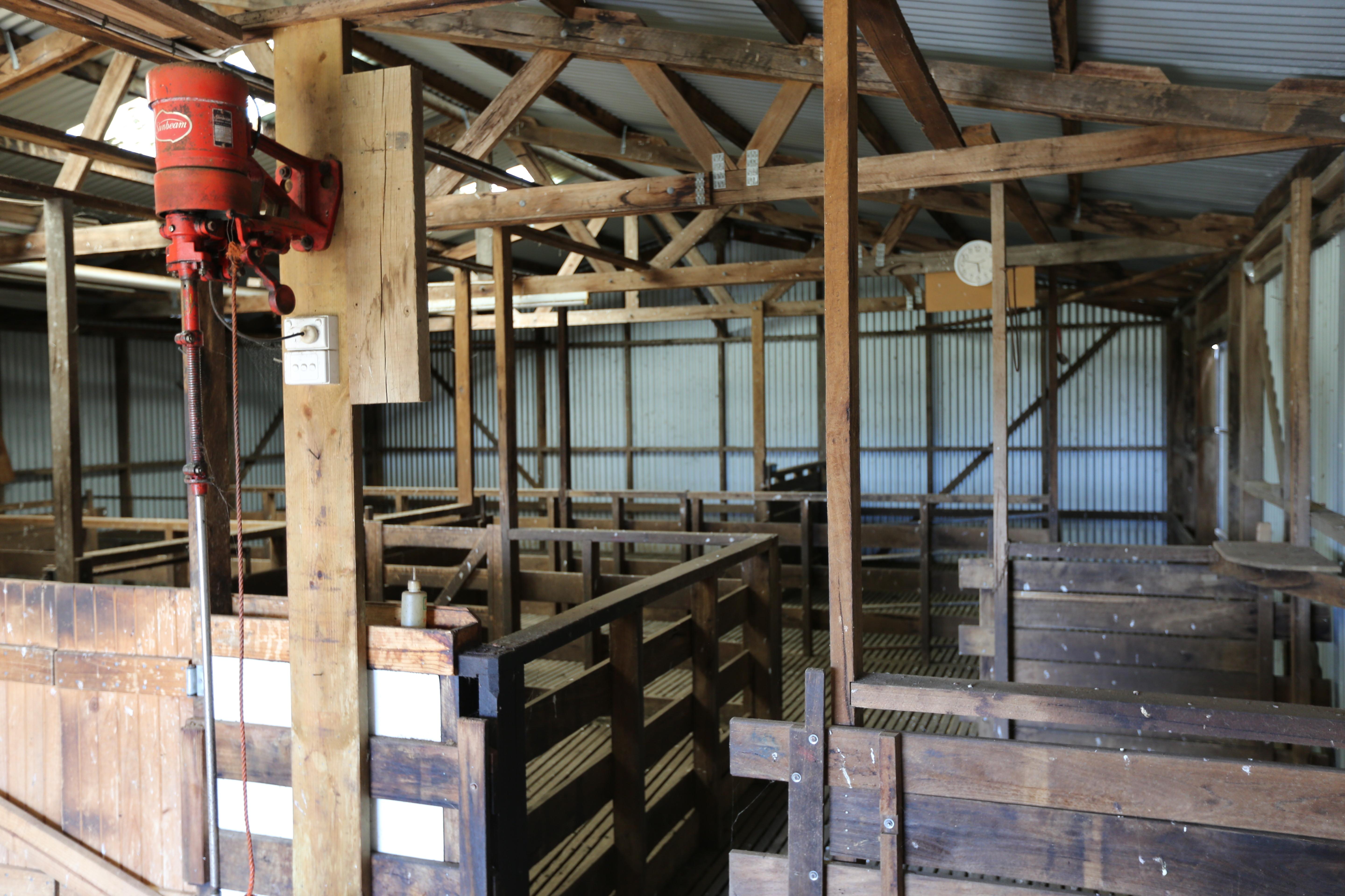 High Rainfall - Grazing - approx. 72.02ha - Image# 5