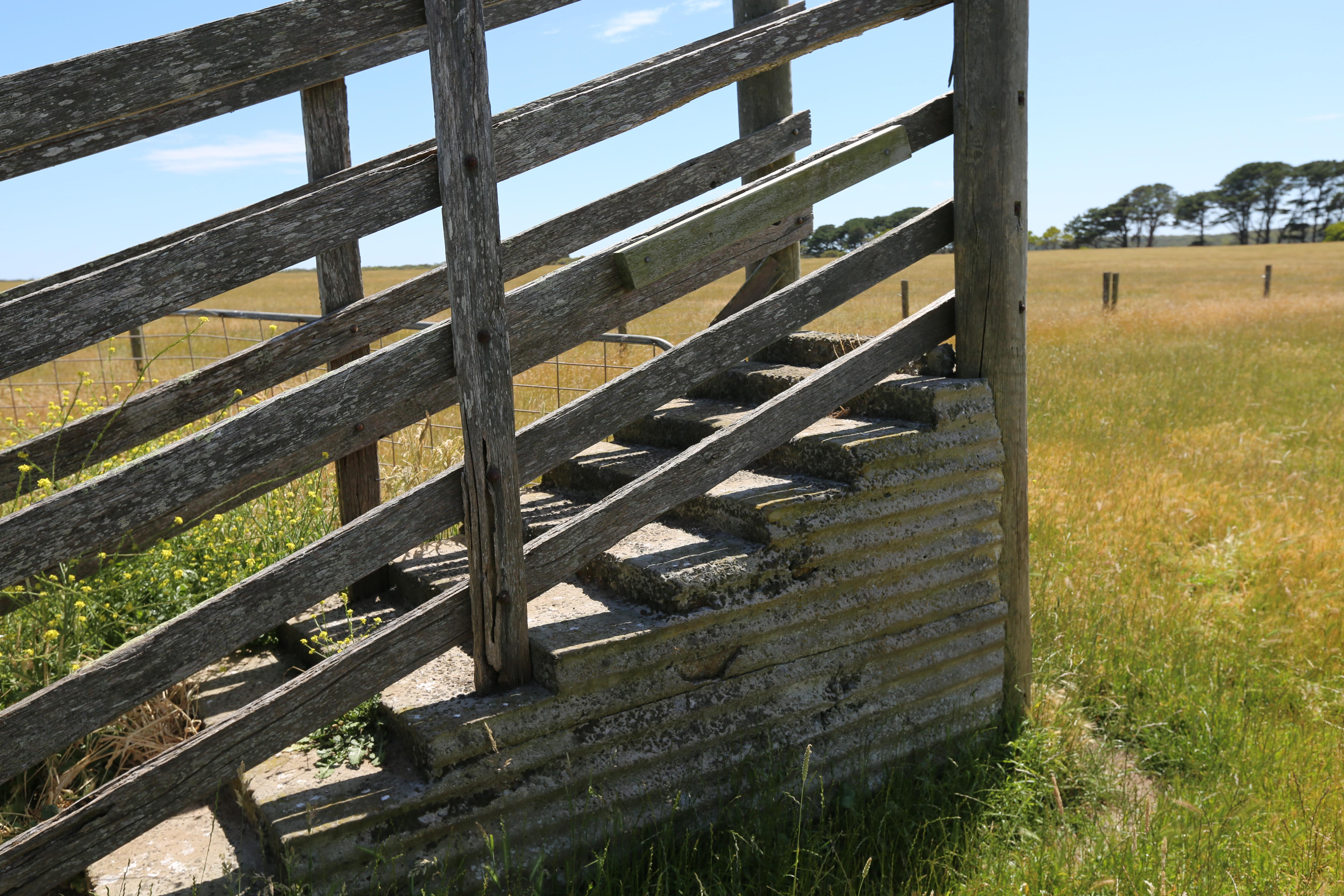 High Rainfall - Grazing - approx. 72.02ha - Image# 8
