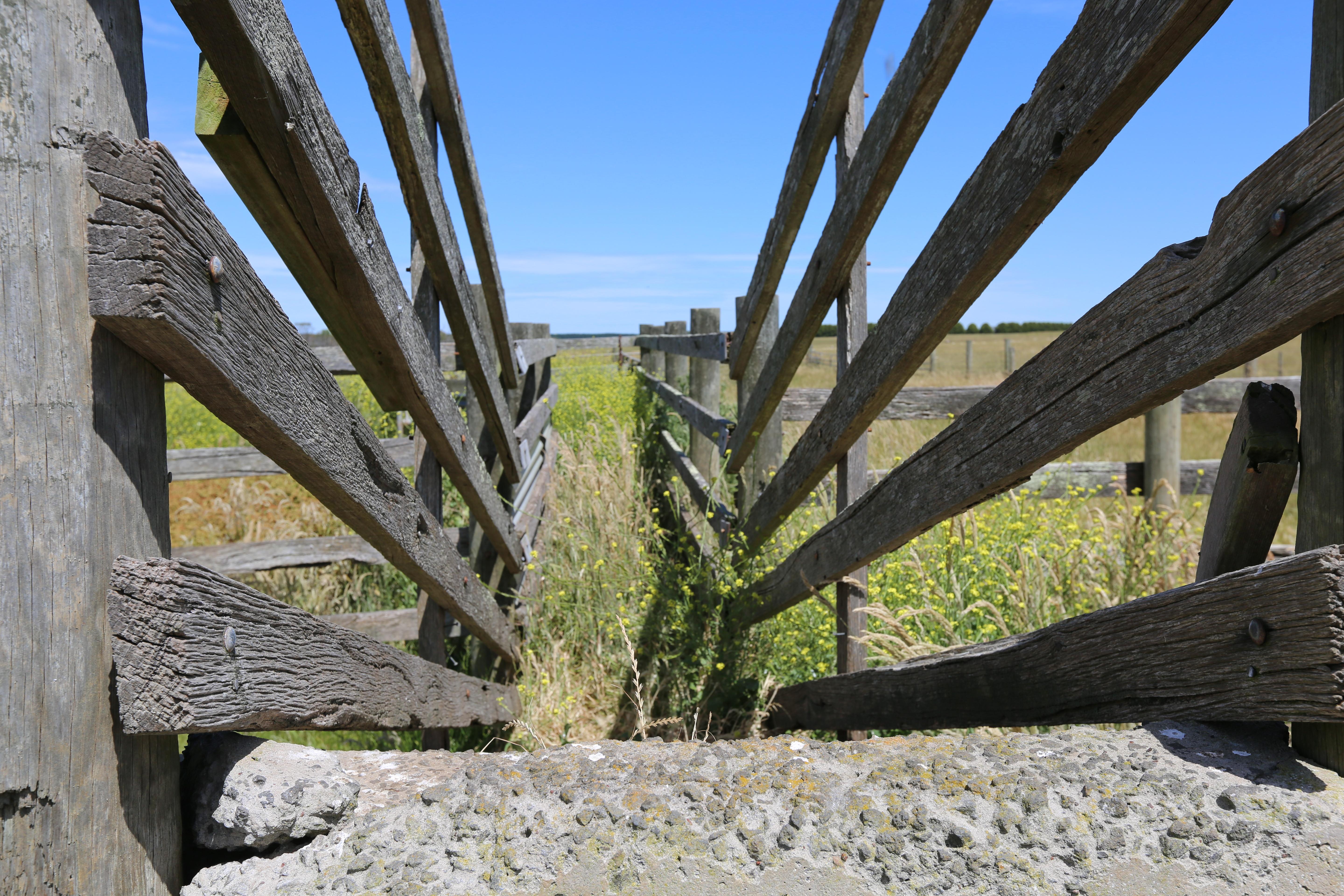 High Rainfall - Grazing - approx. 72.02ha - Image# 9