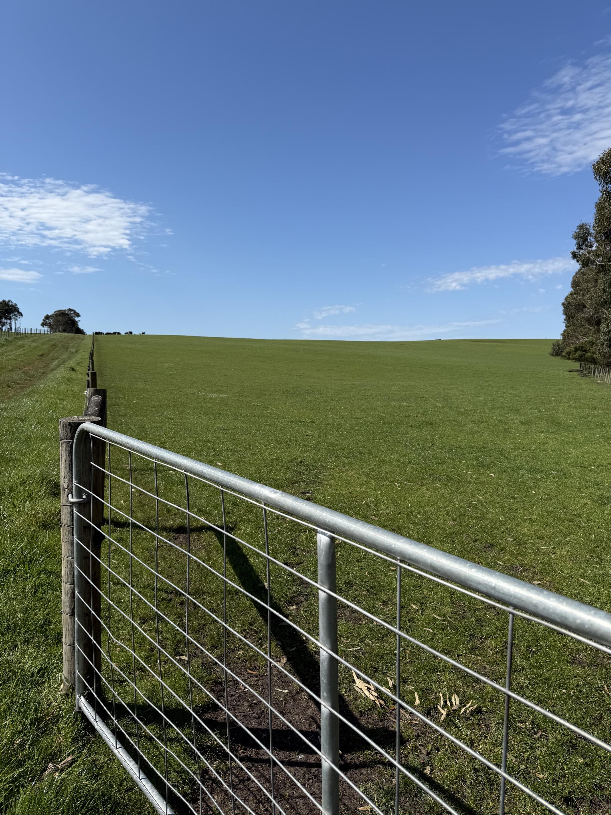 Treasland - Homestead - 40.2ha Farm - Image# 20