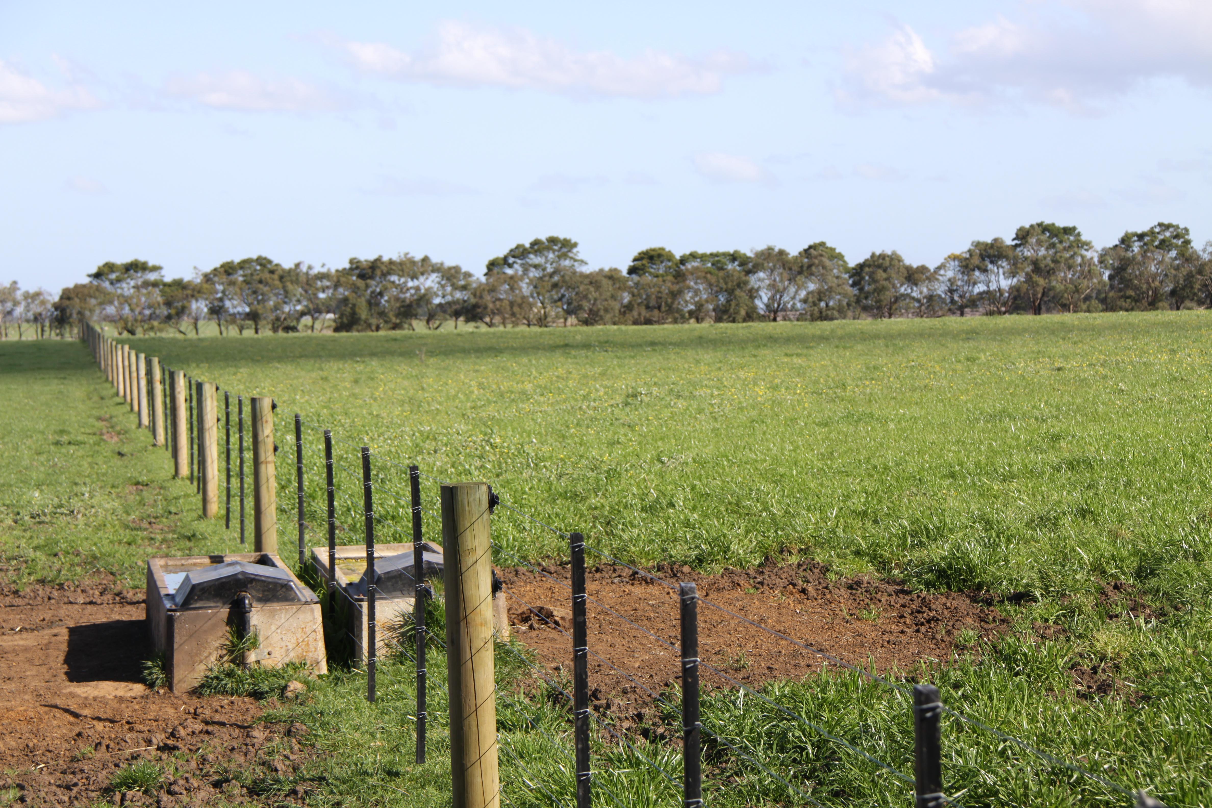 Treasland - Homestead - 40.2ha Farm - Image# 16