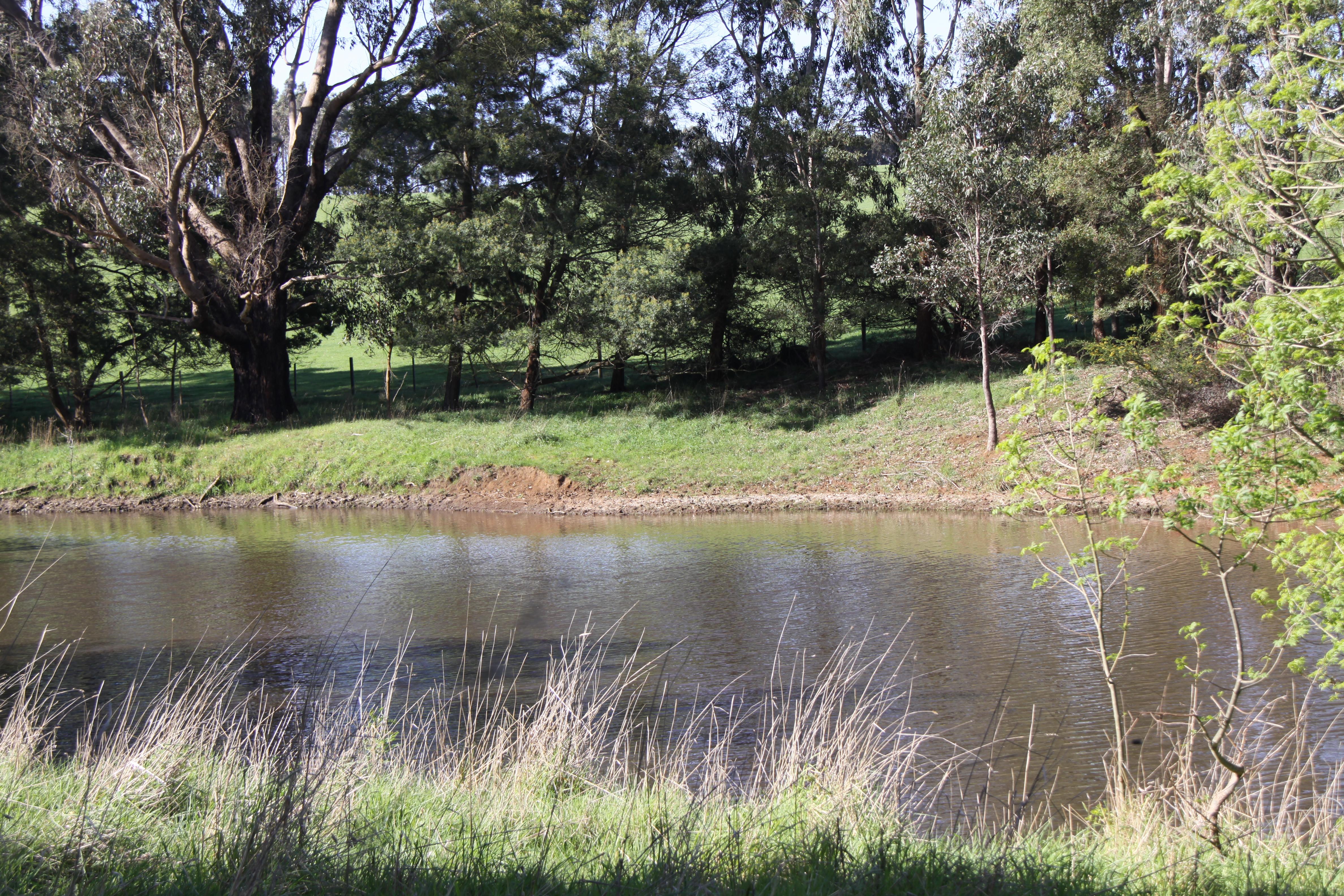 Treasland - Homestead - 40.2ha Farm - Image# 18