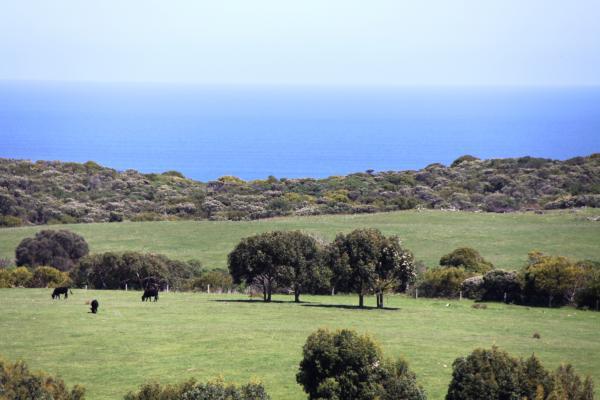 Cape Bridgewater Dream - Approx. 40.02ha - Image# 1