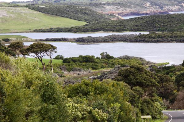 Cape Bridgewater Dream - Approx. 40.02ha - Image# 6