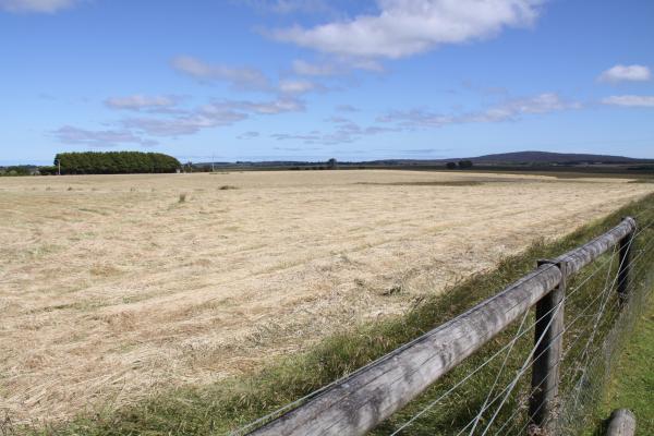 Quality High Value Land - approx 37.9HA - Image# 3