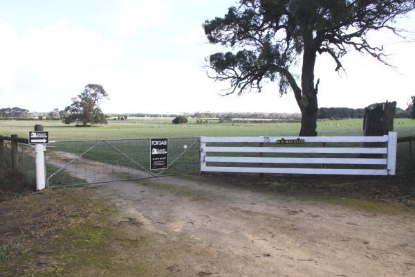 Prime Grazing Land - approx 40.43ha - Image# 1