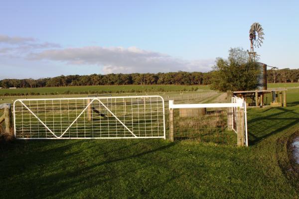 Prime Grazing Land - approx 40.43ha - Image# 4