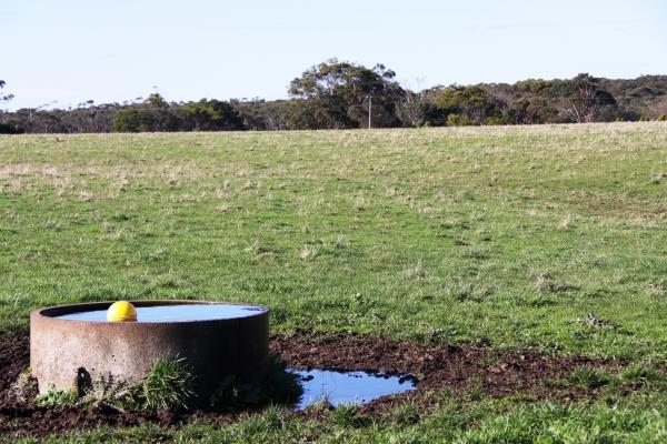 Powerhouse Grazing or Finishing Block-Approx. 128.89ha - 2 Titles - Image# 8